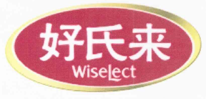 好氏来 WISELECT