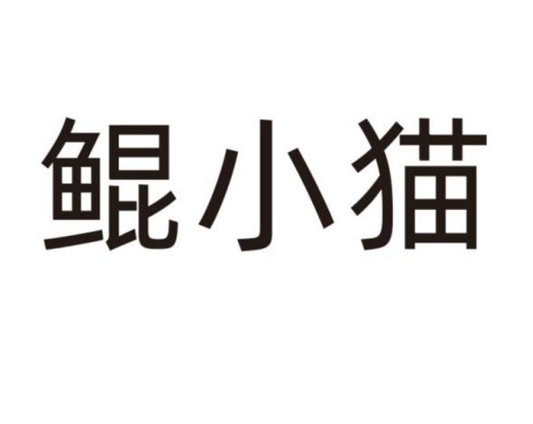 鲲小猫
