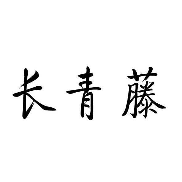 长青藤