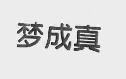 梦成真
