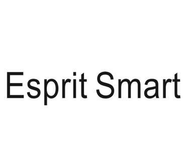 ESPRIT SMART