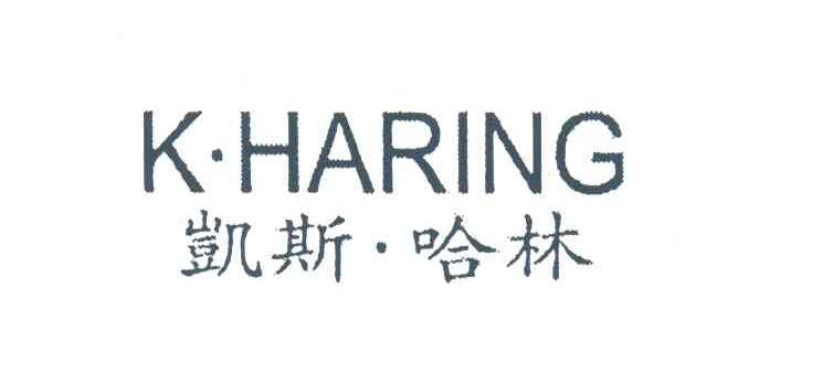 凯斯&middot;哈林;K HARING