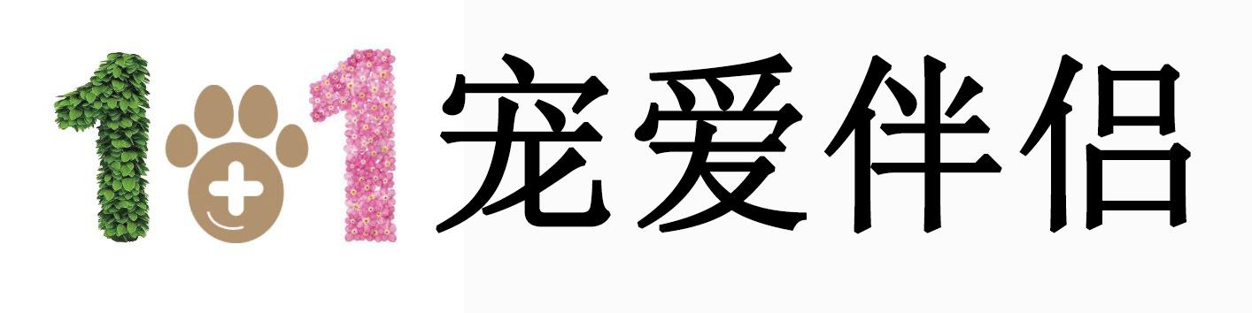 1+1宠爱伴侣