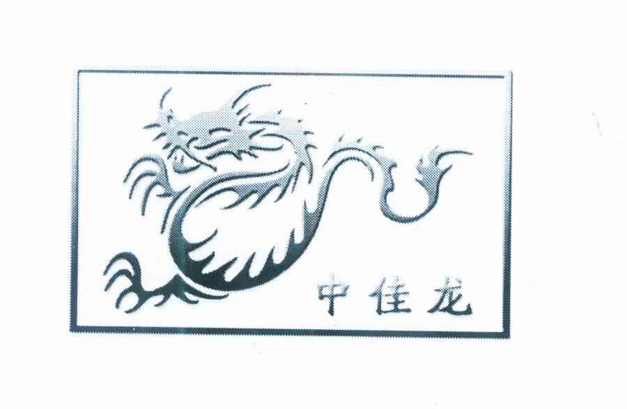 中佳龙