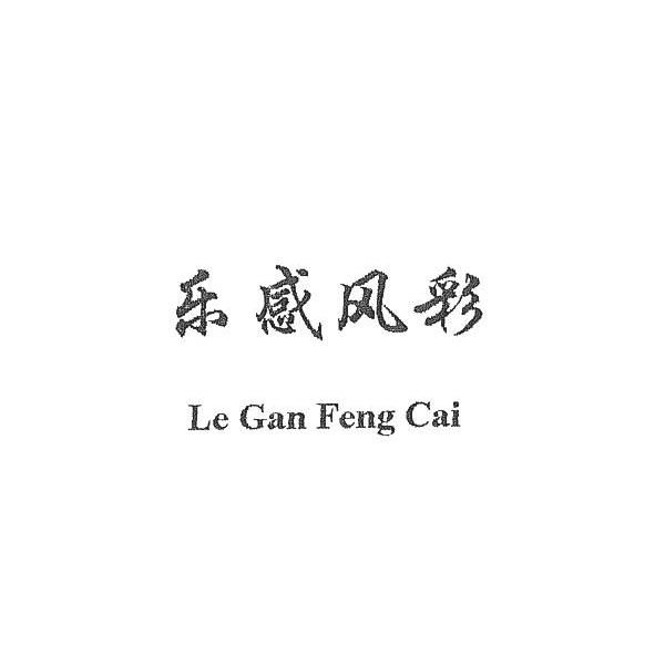 乐感风彩