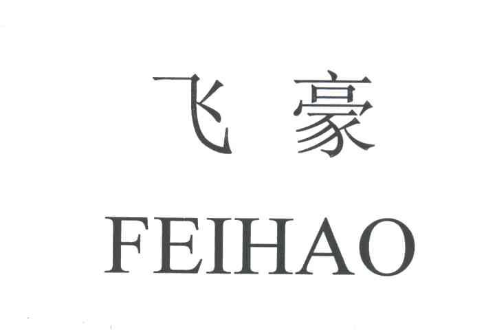 飞豪