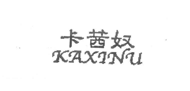 卡茜奴