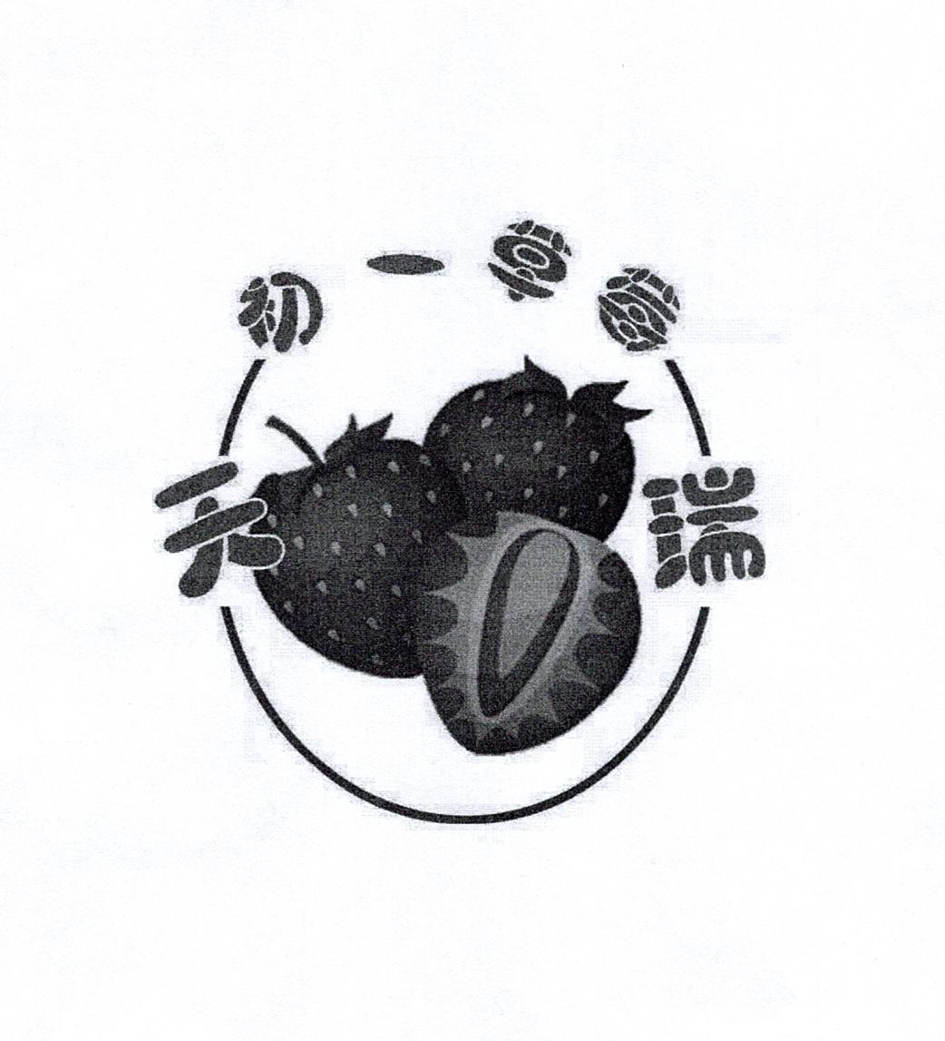 天瑞 初一草莓