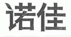 诺佳