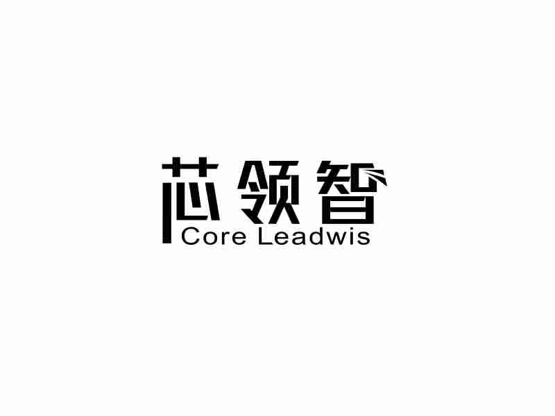 芯领智 CORE LEADWIS