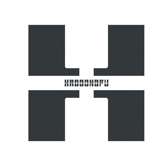HAOGONGFU H