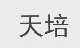 天培