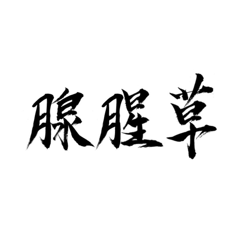 腺腥草