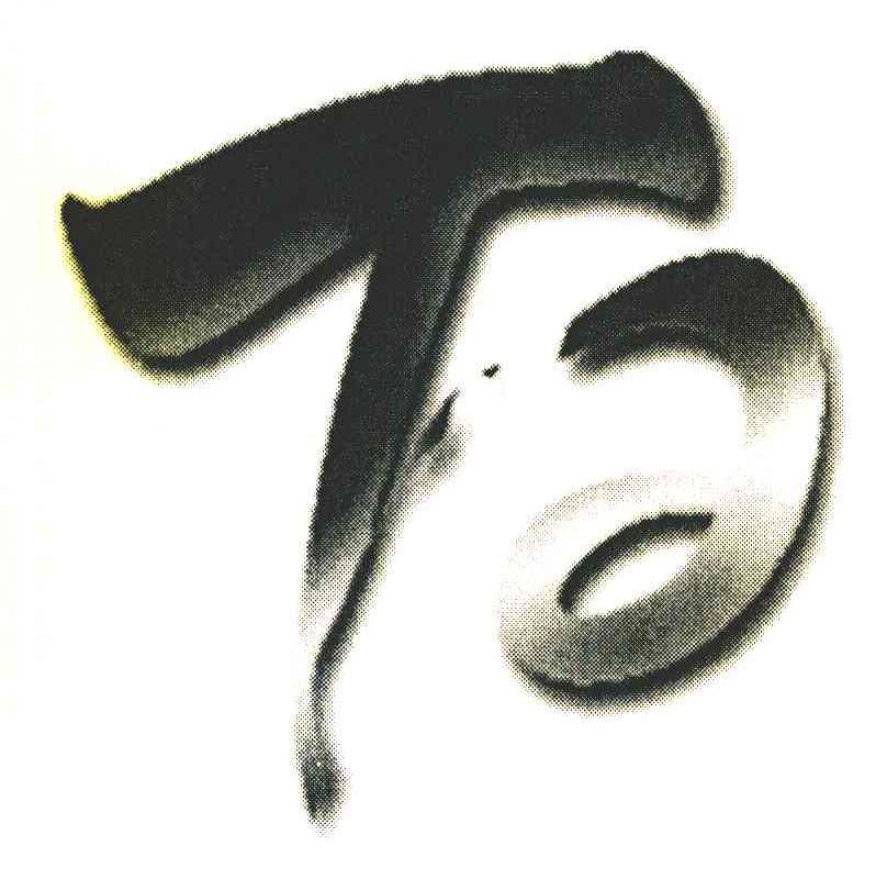 T 2