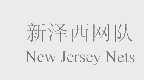 网   NETS