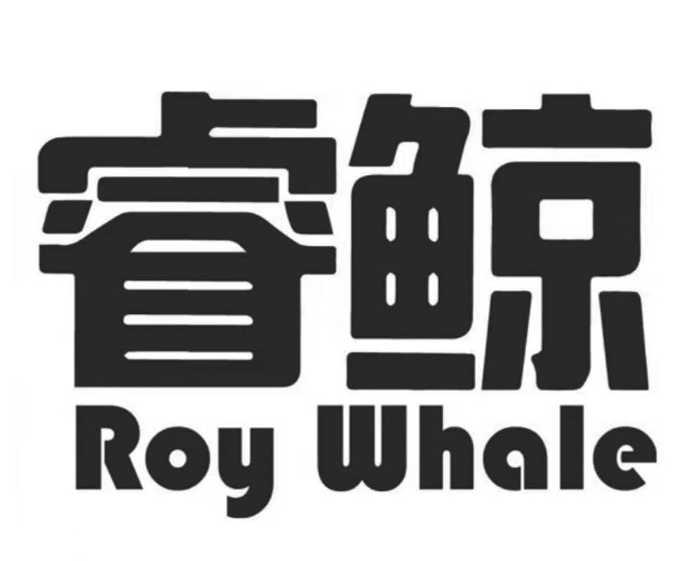 睿鲸 ROY WHALE