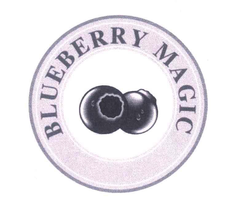 BLUEBERRY MAGIC