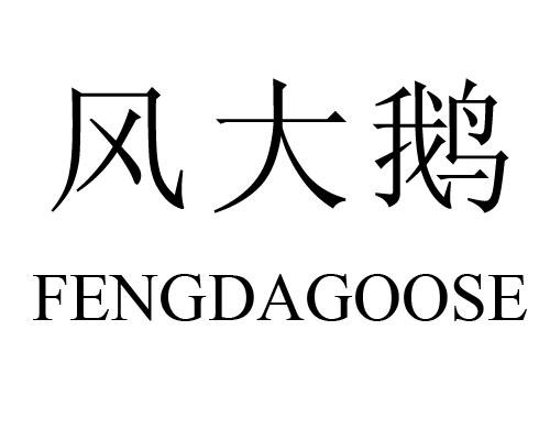 风大鹅 FENGDAGOOSE