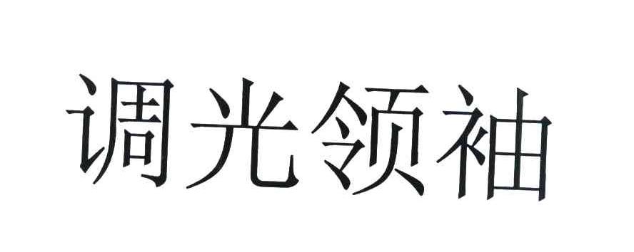 调光领袖