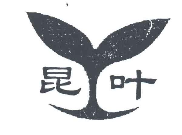 昆叶