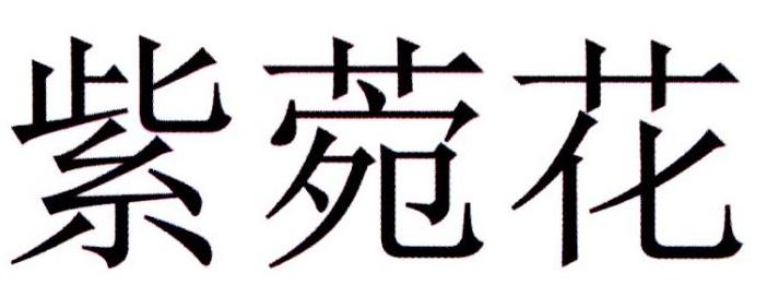 紫菀花