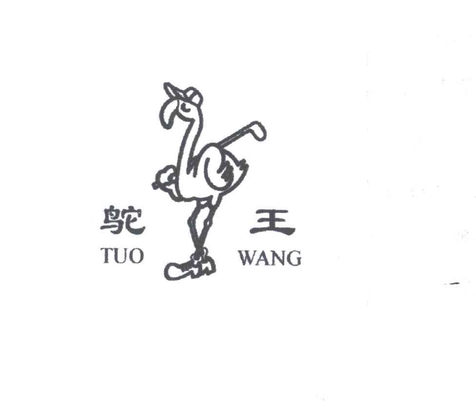 驼王