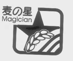 麦的星   MAGICIAN