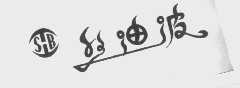 丝迪波