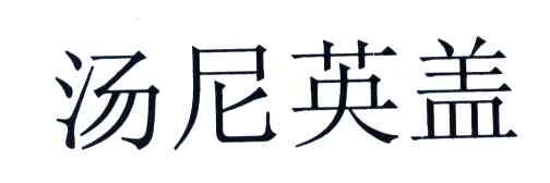 汤尼英盖