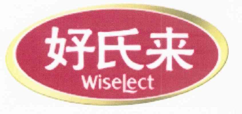 好氏来 WISELECT