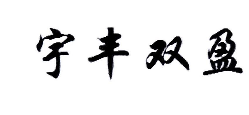 宇丰双盈
