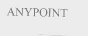 ANYPOINT