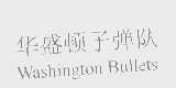华盛顿子弹队   WASHINGTON BULLETS