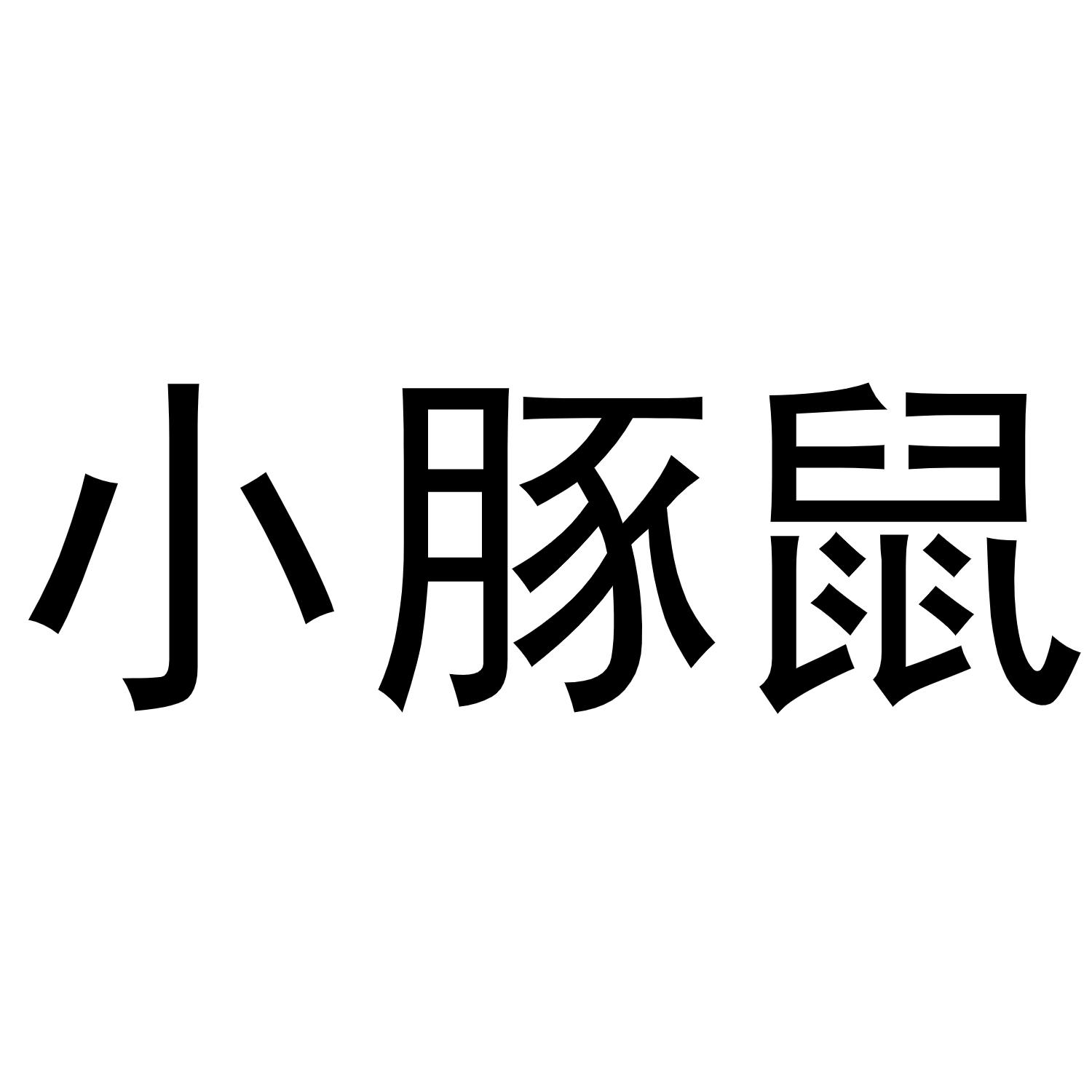 小豚鼠