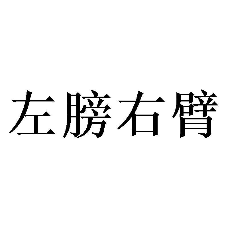 左膀右臂