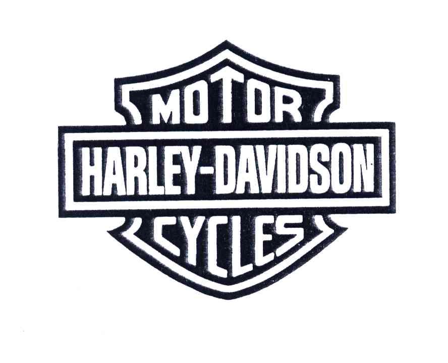 MOTOR HARLEY DAVIDSON CYCLES