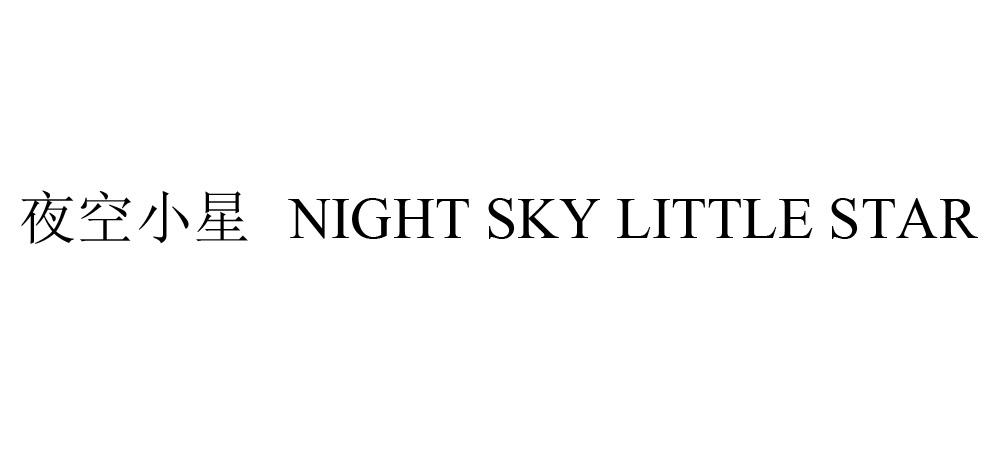 夜空小星 NIGHT SKY LITTLE STAR