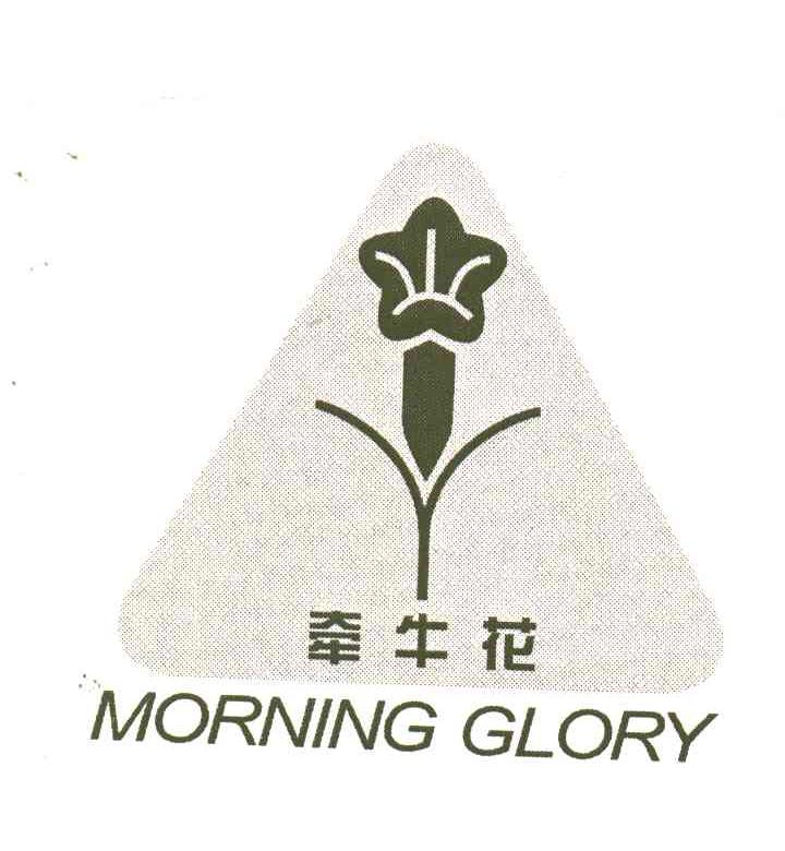 牵牛花;MORNING GLORY