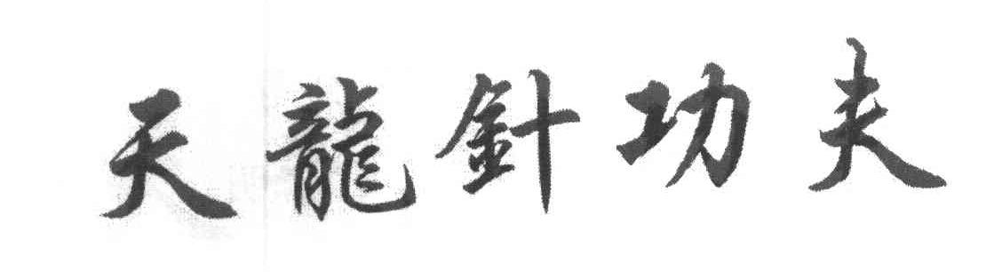 天龙针功夫
