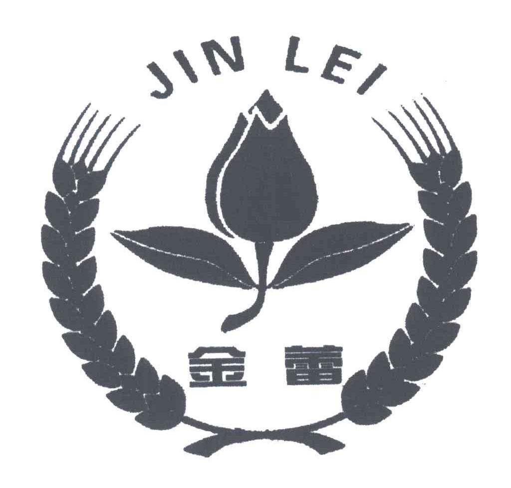 金蕾