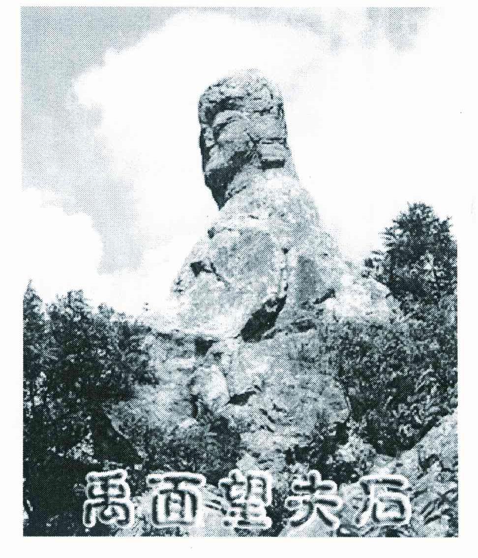 禹面望夫石