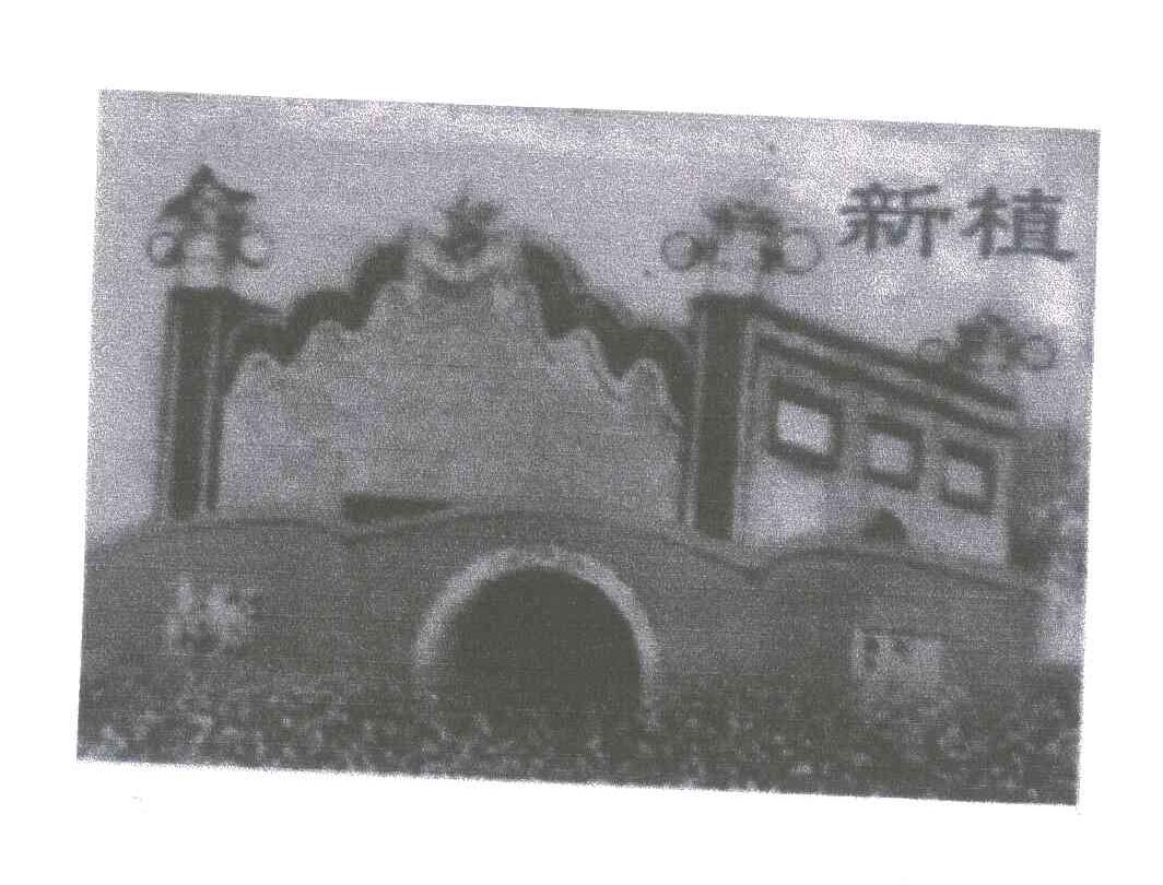 新植