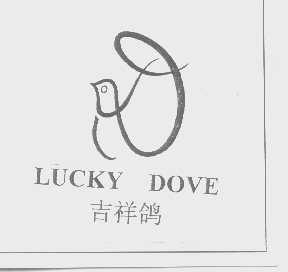 LUCKY DOVE   吉祥鸽