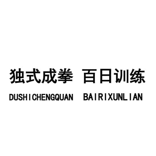 独式成拳 百日训练