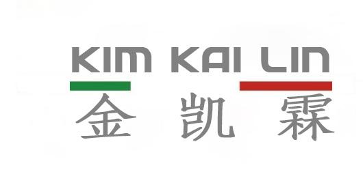 金凯霖 KIM KAI LIN