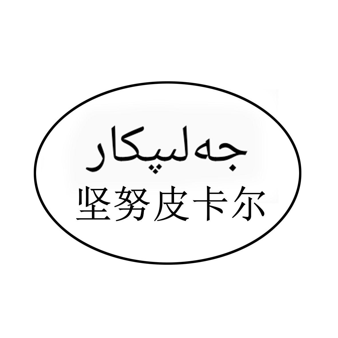 坚努皮卡尔