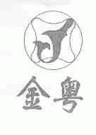 金粤
