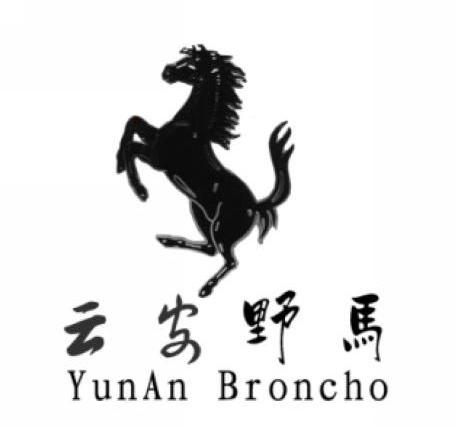 云安野马 YUNAN BRONCHO