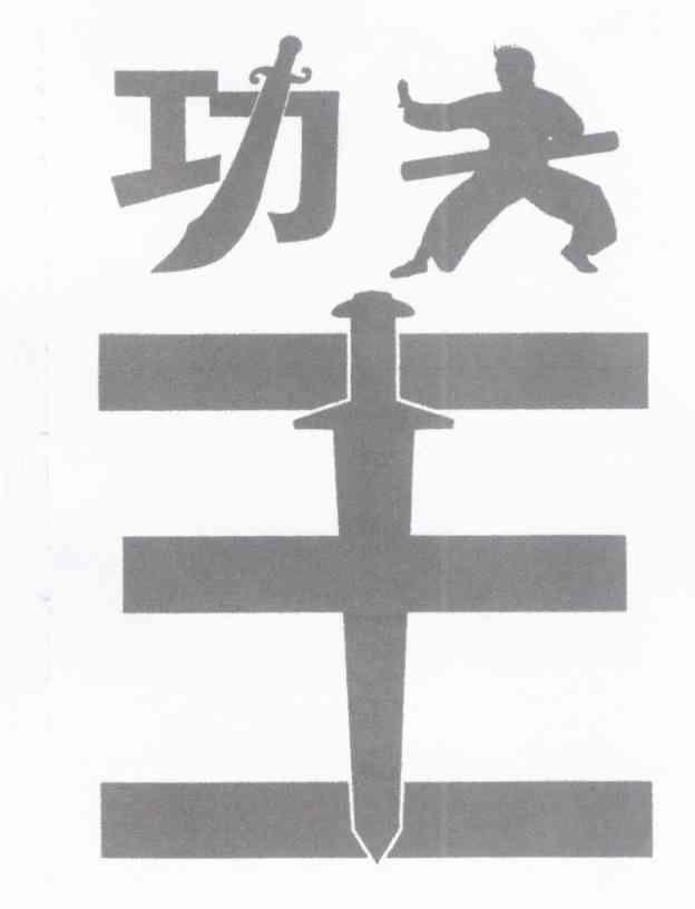 功夫王