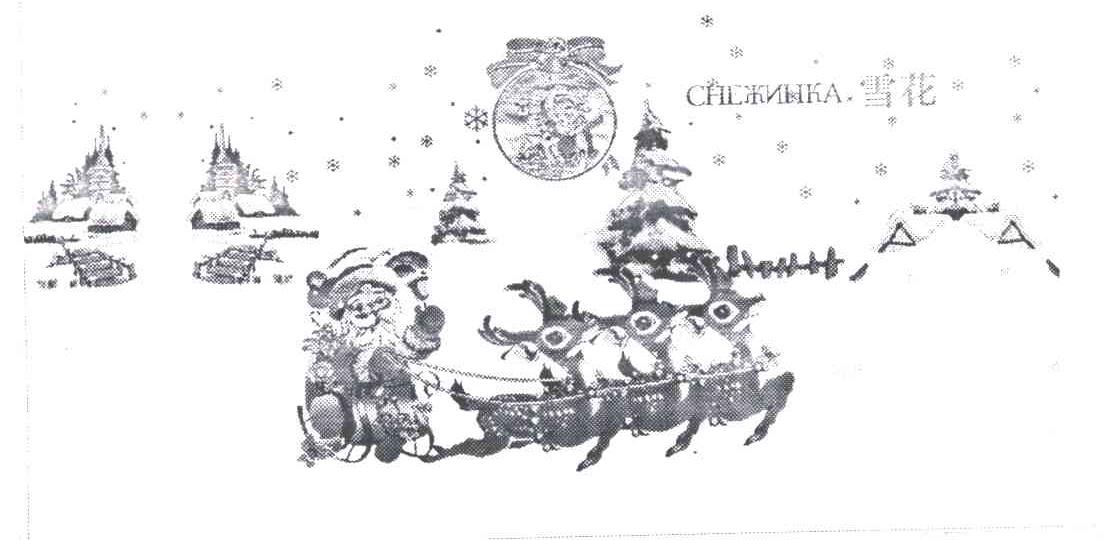 雪花;CHENHKA